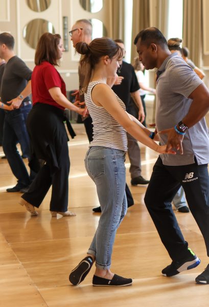 Photograph from the UK Westie Bootcamp February 2027 event organised by Jive Addiction