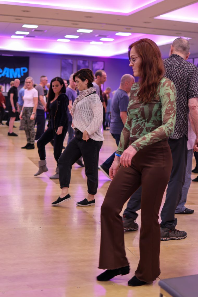 Photograph from the UK Westie Bootcamp February 2027 event organised by Jive Addiction