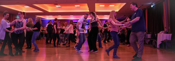 Photograph from the UK Westie Bootcamp February 2027 event organised by Jive Addiction
